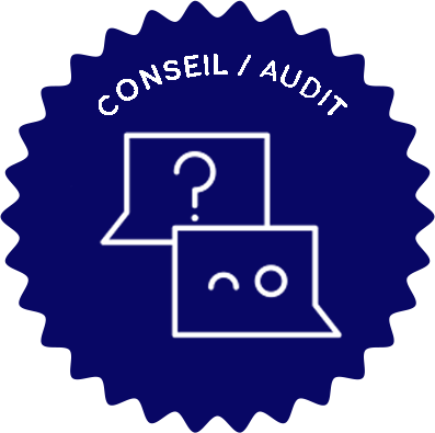 icone conseil / audit